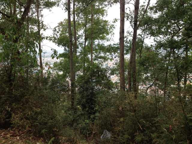 火炉山森林公园-广州市必去景点