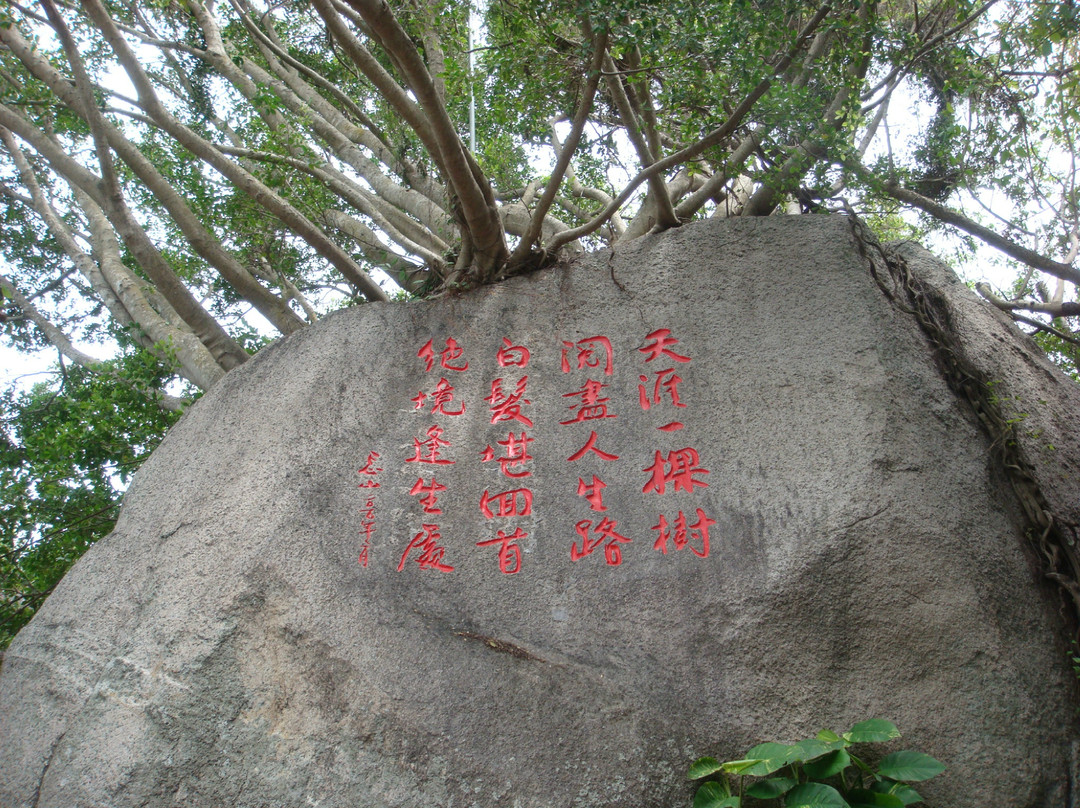 天涯海角景点图片