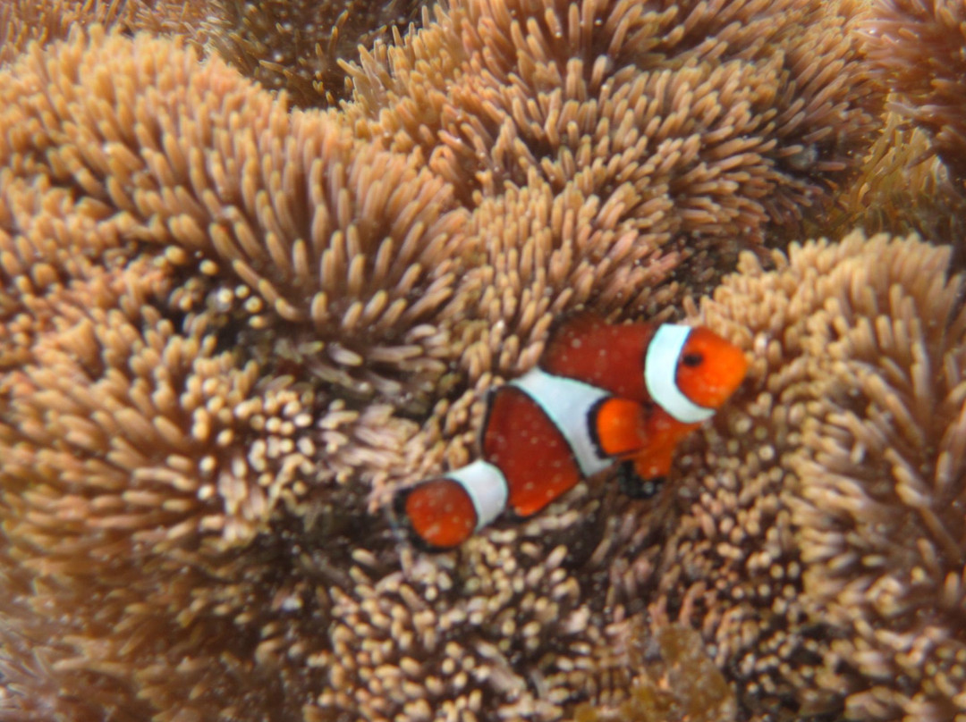 Hidden Beach-爱妮岛必去景点