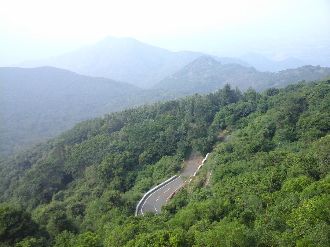 Sirumalai Reserved Forest景点图片