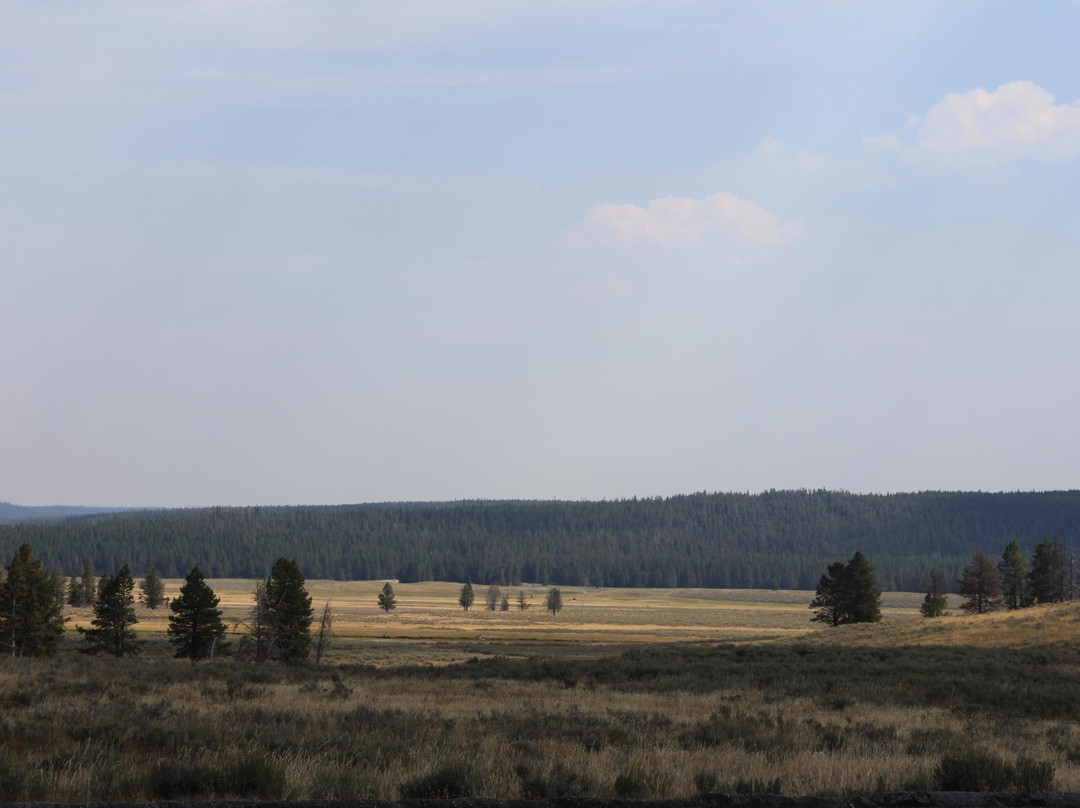海登谷地-黄石国家公园必去景点