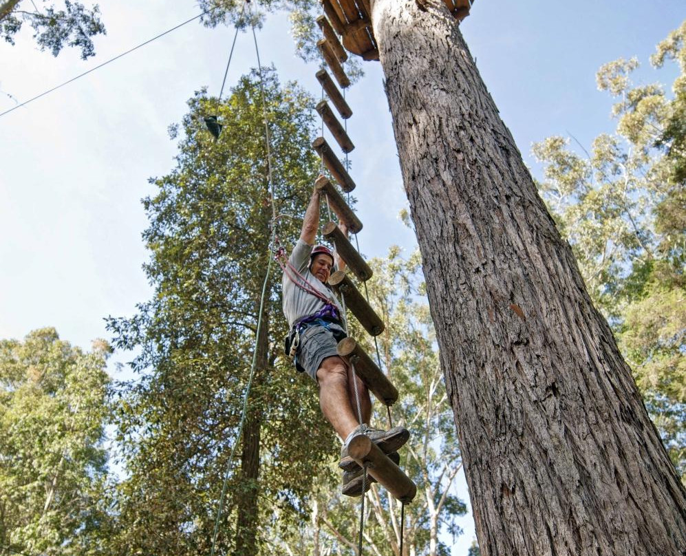 TreeTops Central Coast-怀昂溪必去景点