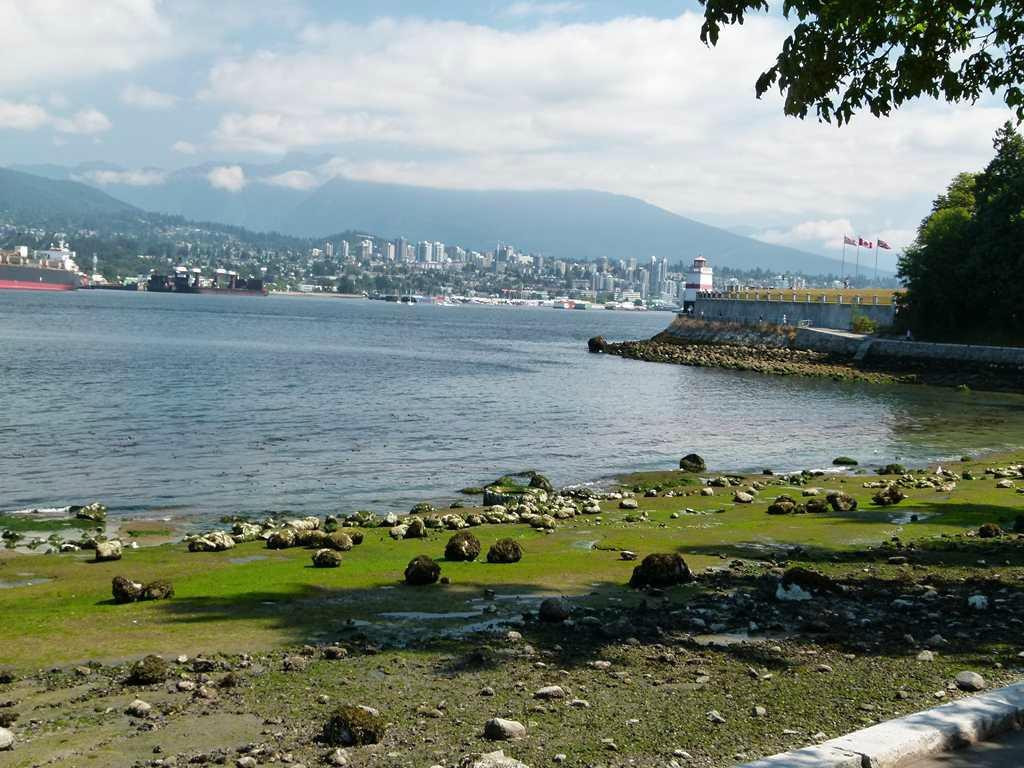 布鲁克顿角-温哥华必去景点