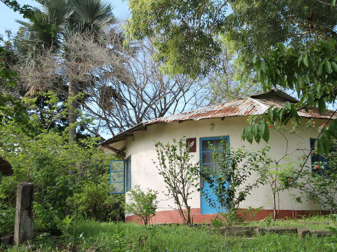 Paradise Inn Lodge