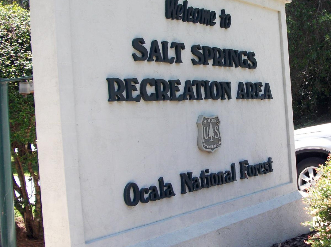 Salt Springs Recreation Area景点图片