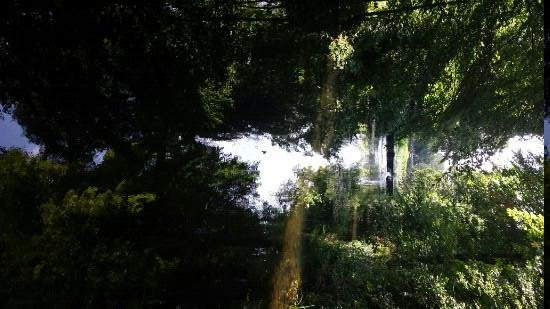 Doneraile Wildlife Park-Doneraile必去景点