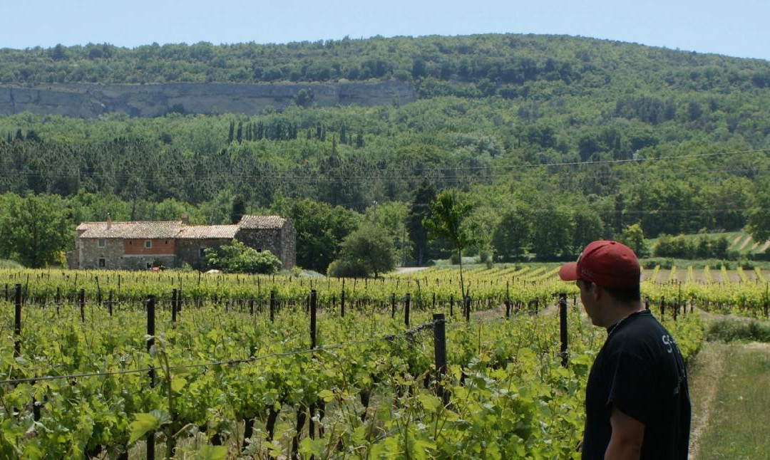 Domaine Rozel景点图片