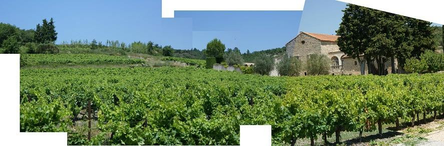 Domaine Rozel景点图片