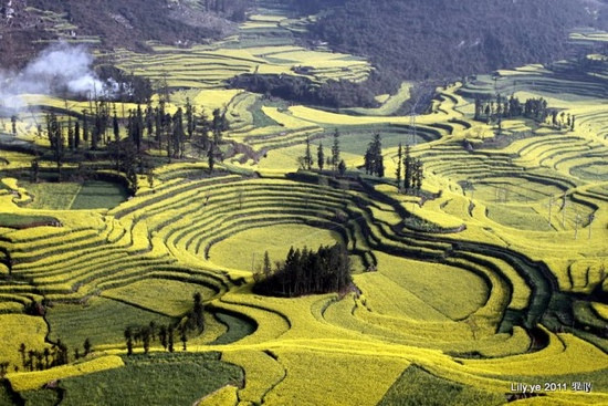 罗平螺丝田-罗平县必去景点