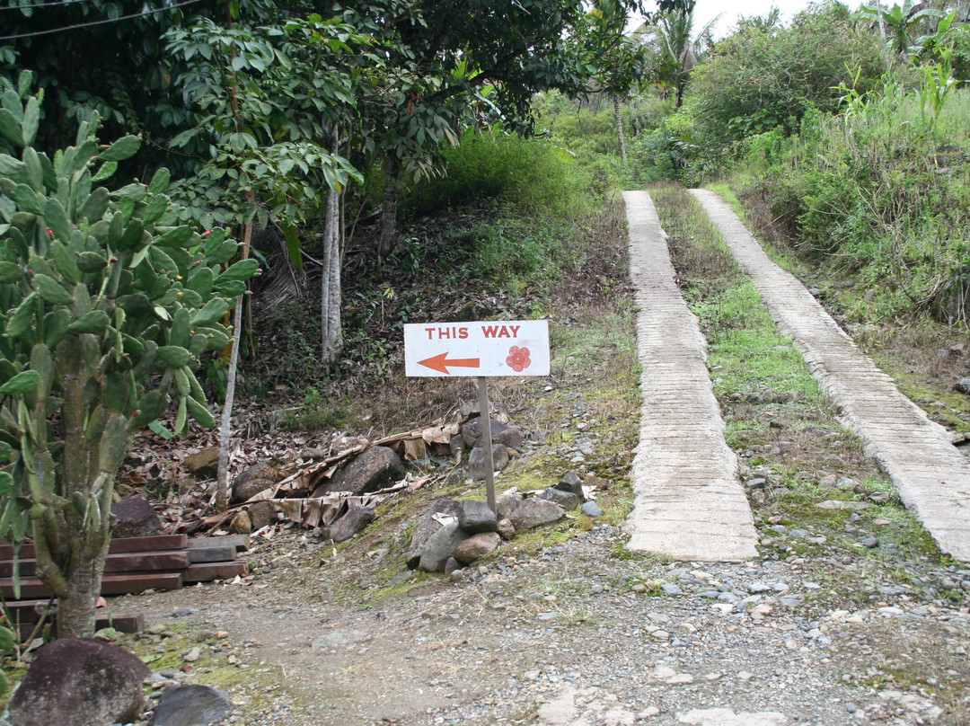 Napalus Rafflesia Garden-Poring必去景点