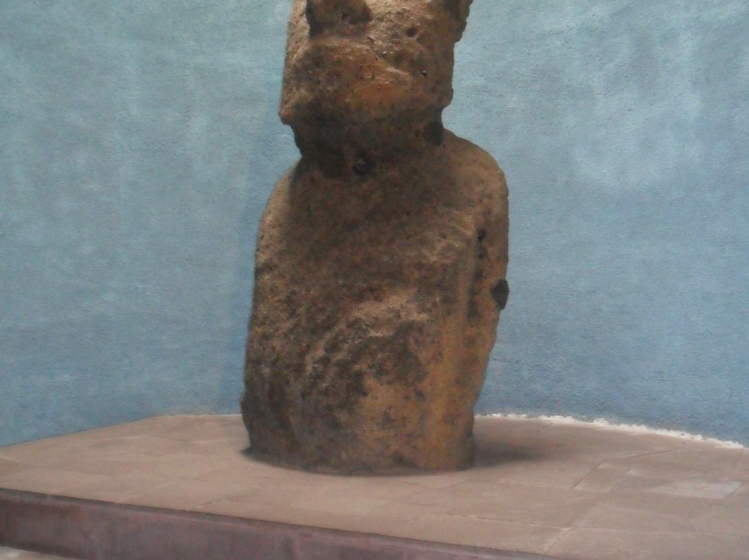 Museo Arqueológico de La Serena-拉塞雷纳必去景点