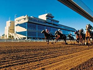 Remington Park-俄克拉何马城必去景点
