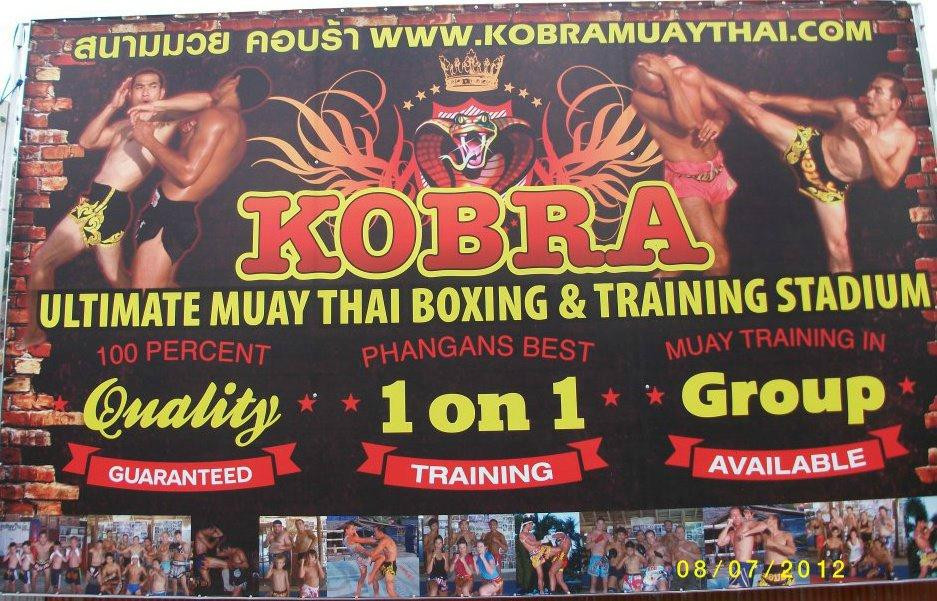 Kobra Muay Thai 泰拳综合运动场景点图片