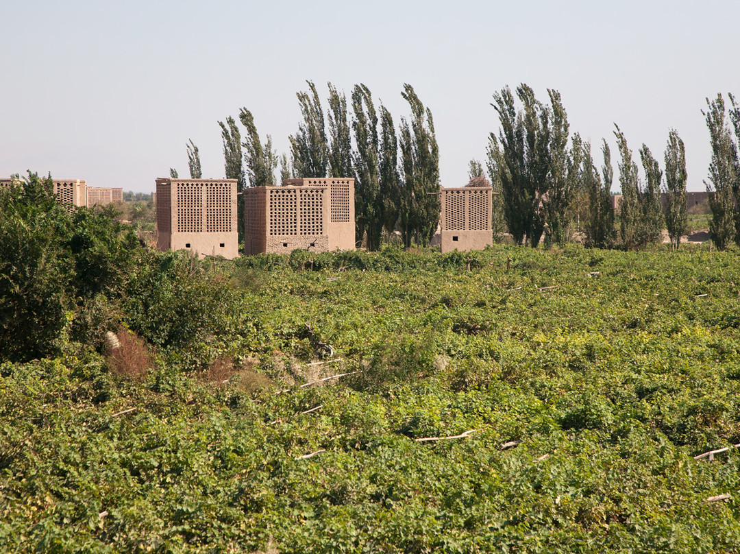 丝绸之路公寓主图