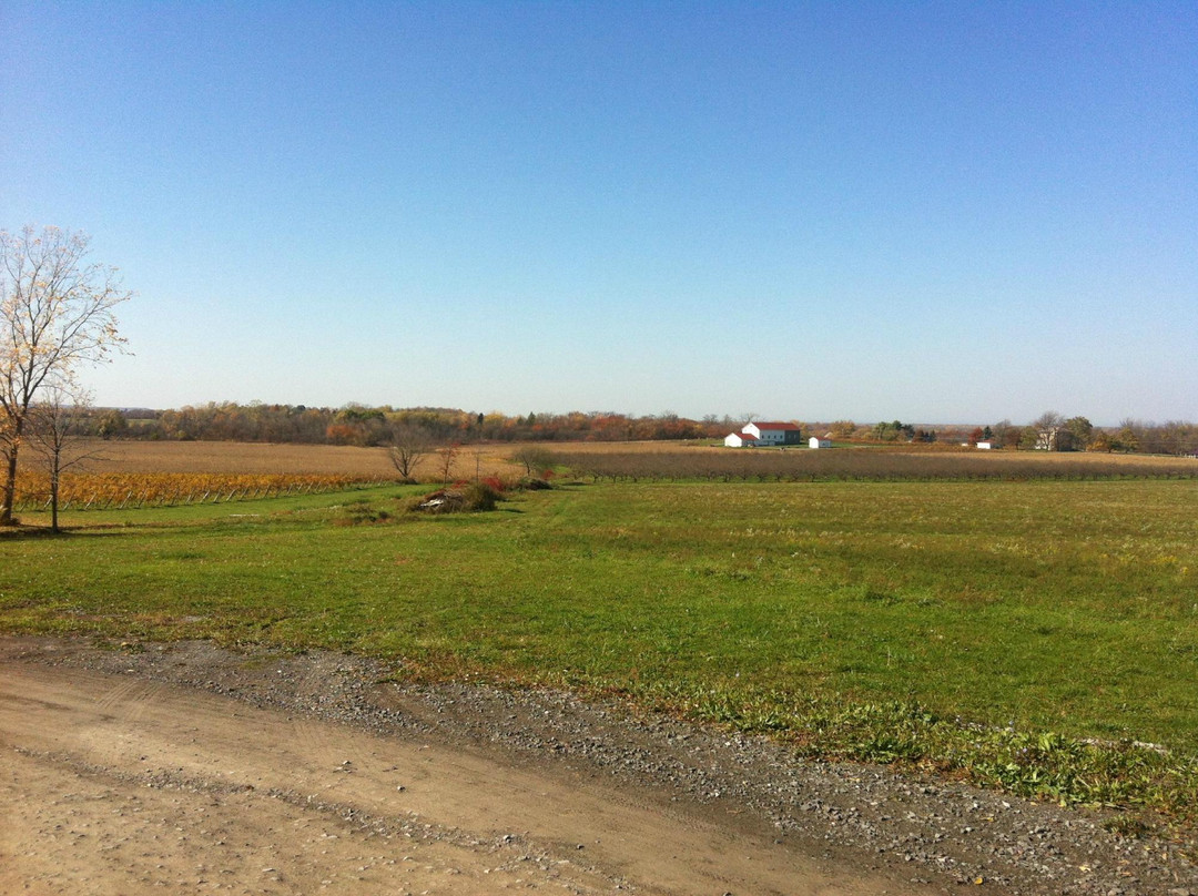 Niagara Wine Trail USA-尼亚加拉大瀑布必去景点