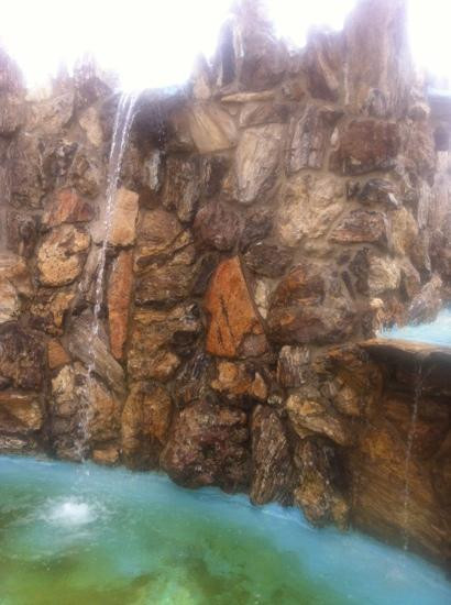 Petrified Wood Park景点图片