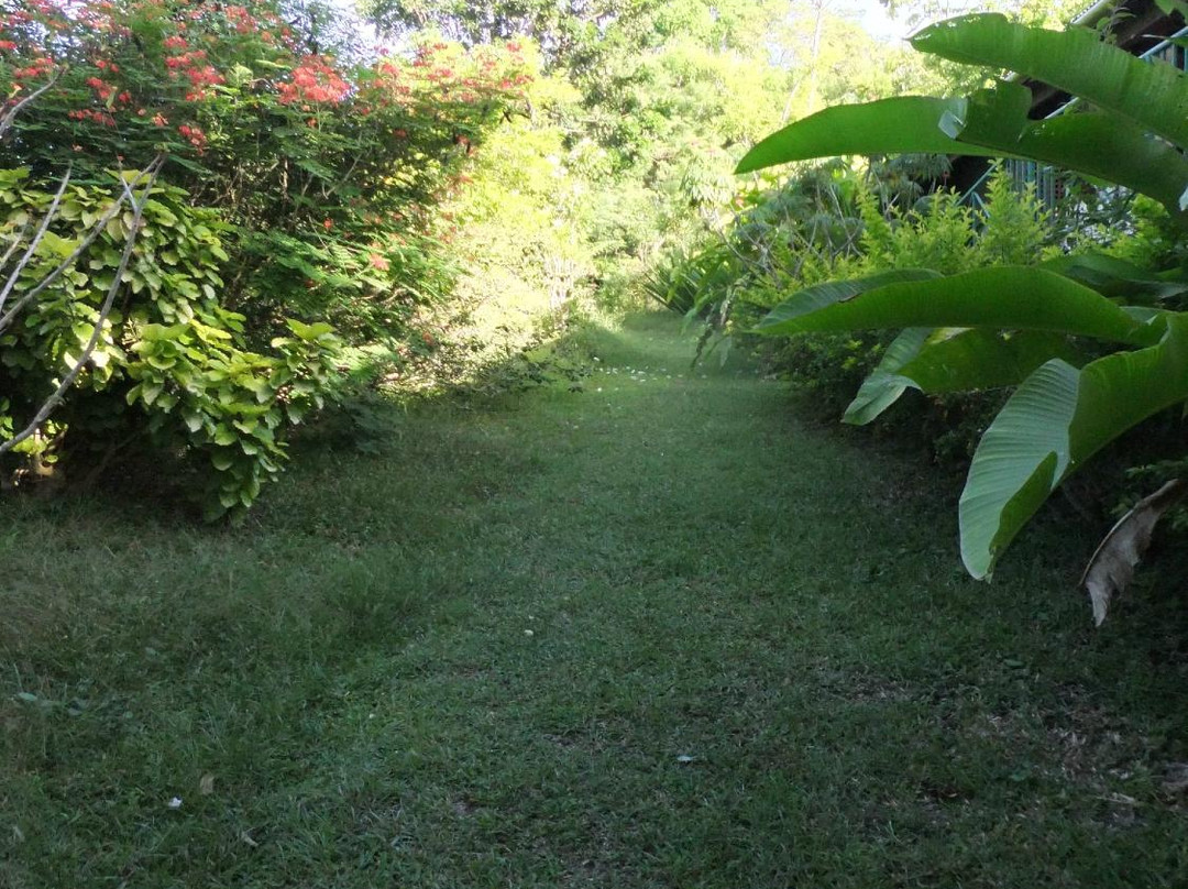 Grafton Caledonia Wildlife Sanctuary-多巴哥必去景点