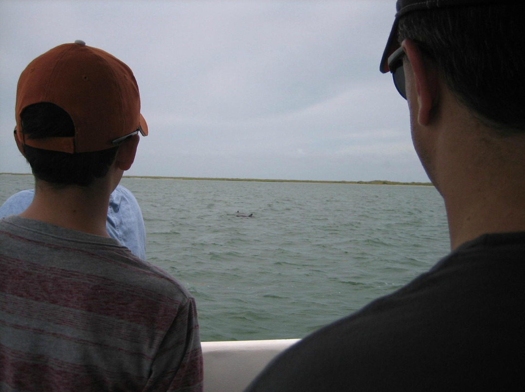 Kohootz Dolphin Encounters-Aransas Pass必去景点