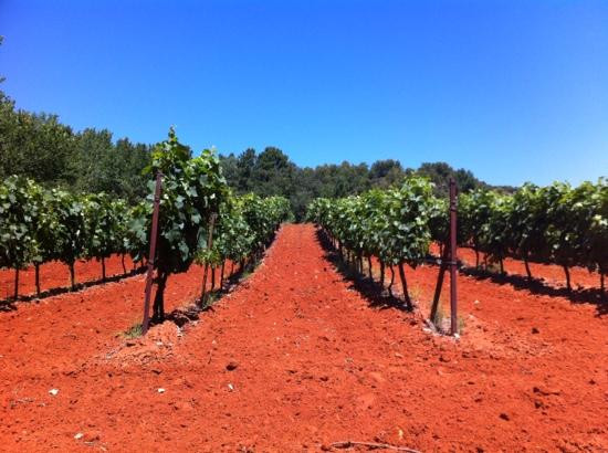 TerraVentoux-Villes-sur-Auzon必去景点
