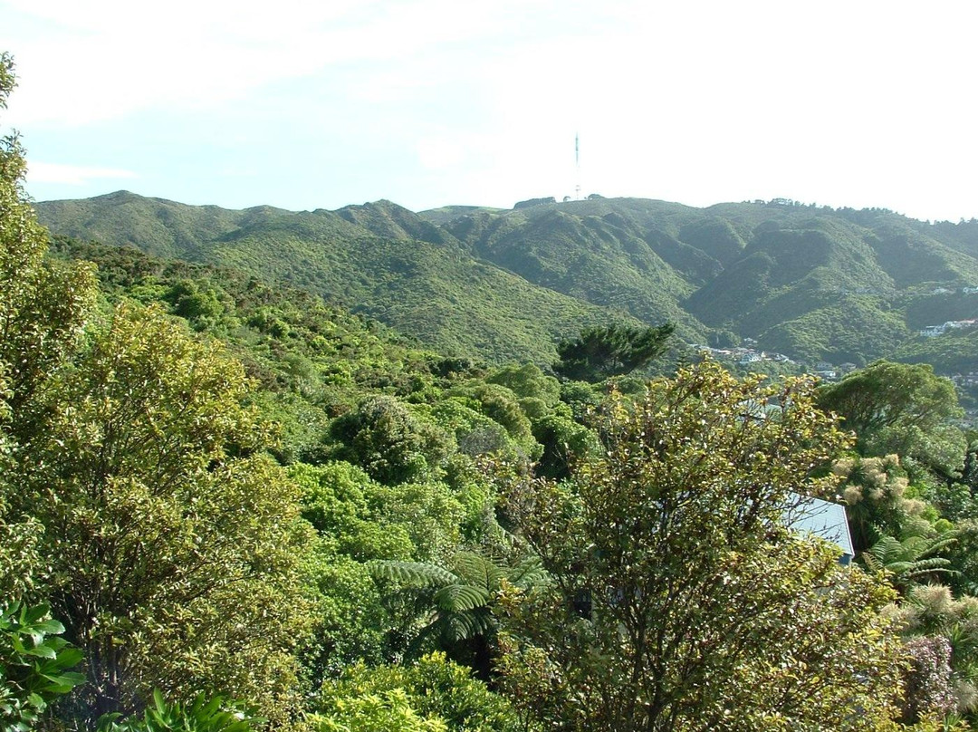 Mount Kaukau景点图片