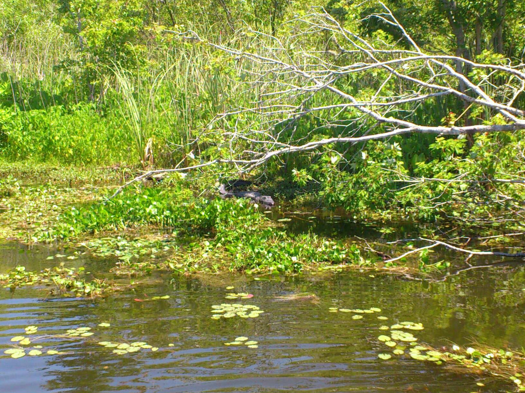 Fountain of Youth Eco/History Tours-De Leon Springs必去景点