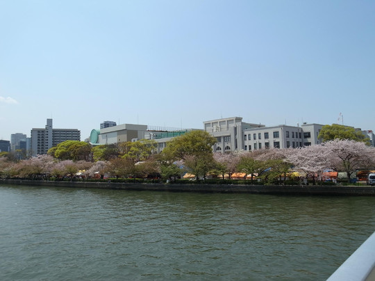 毛马樱之宫公园-大阪市必去景点