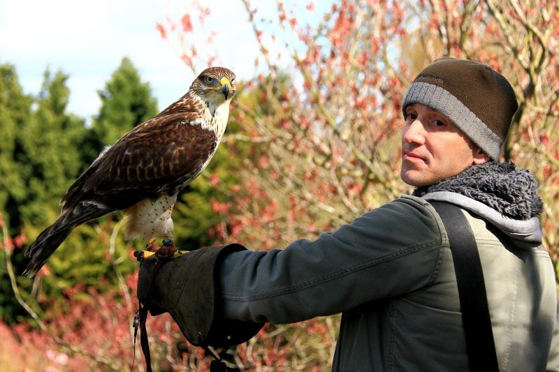 Pro Falconer-Baginton必去景点