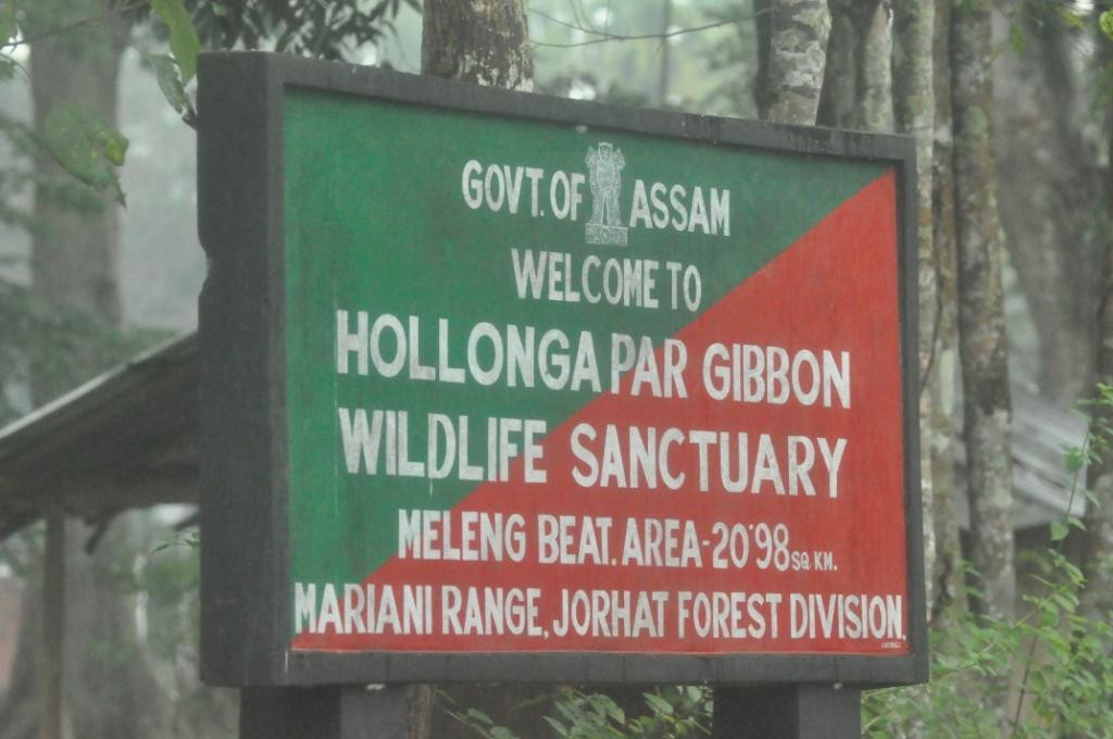 Hoollongapar Gibbon Sanctuary景点图片