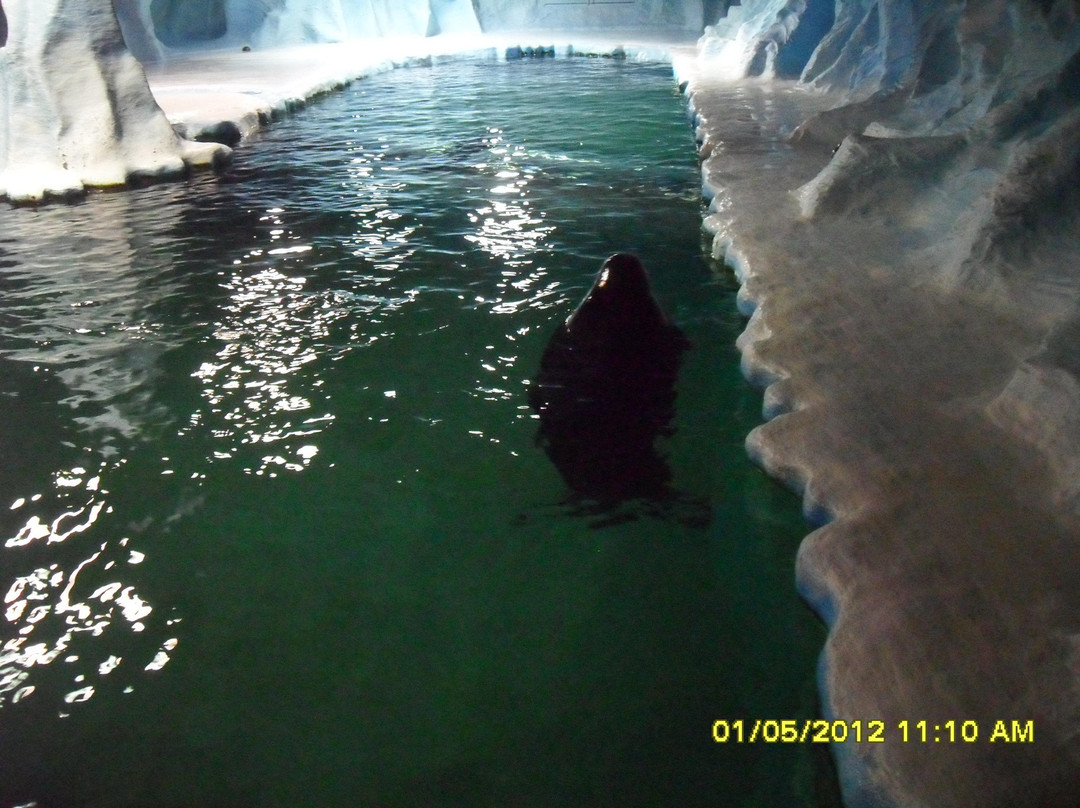 北极星水族馆-特罗姆瑟必去景点
