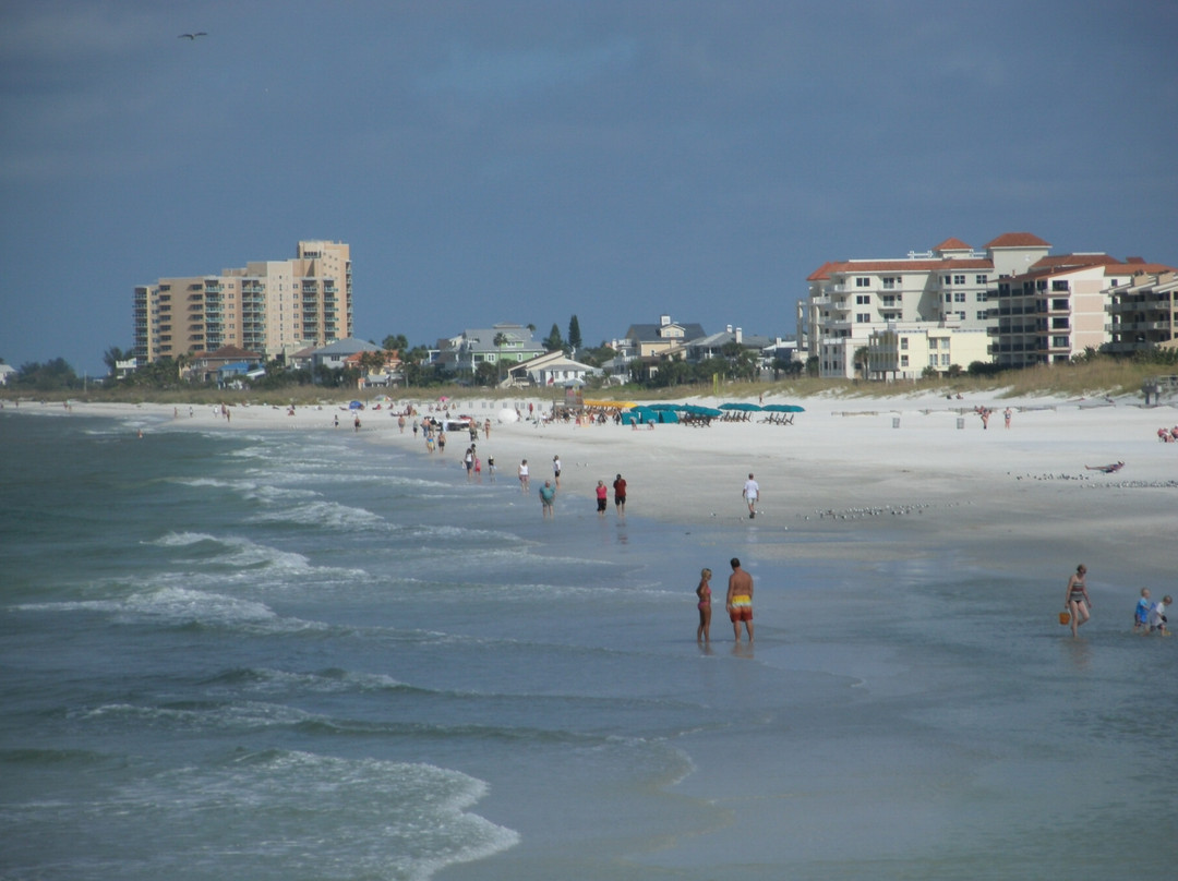 佛罗里达海豚之旅-奥兰多必去景点