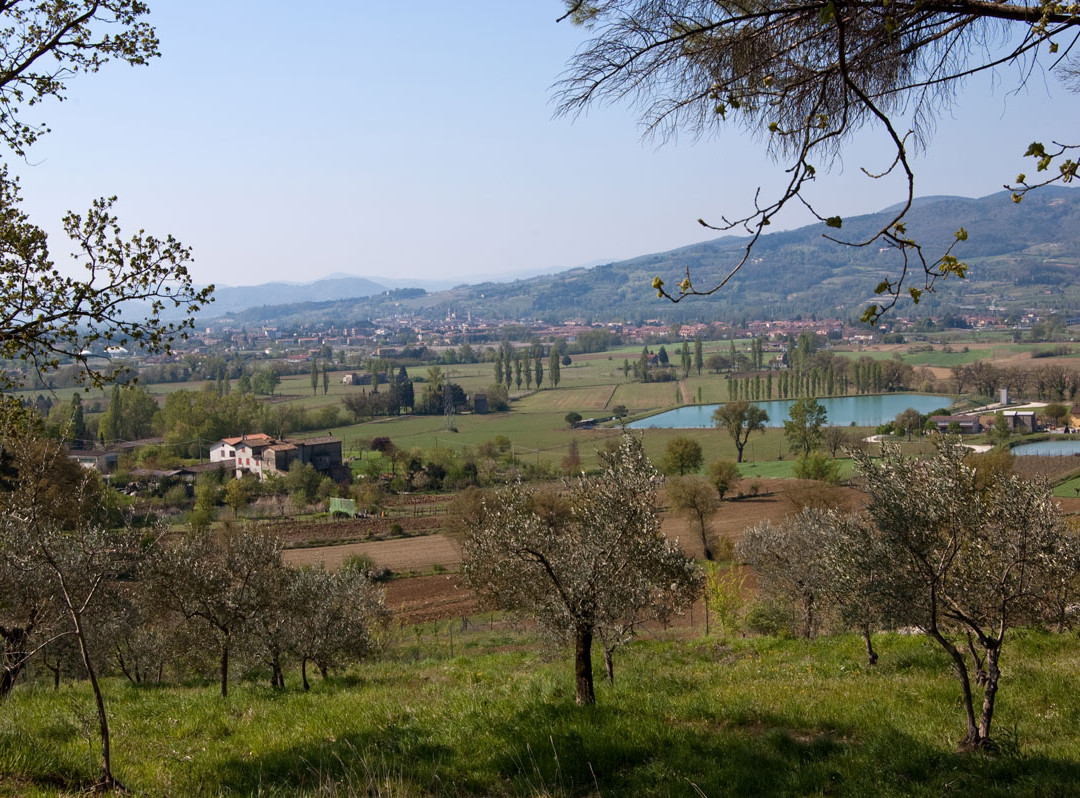 Bed and Breakfast La Lastra主图