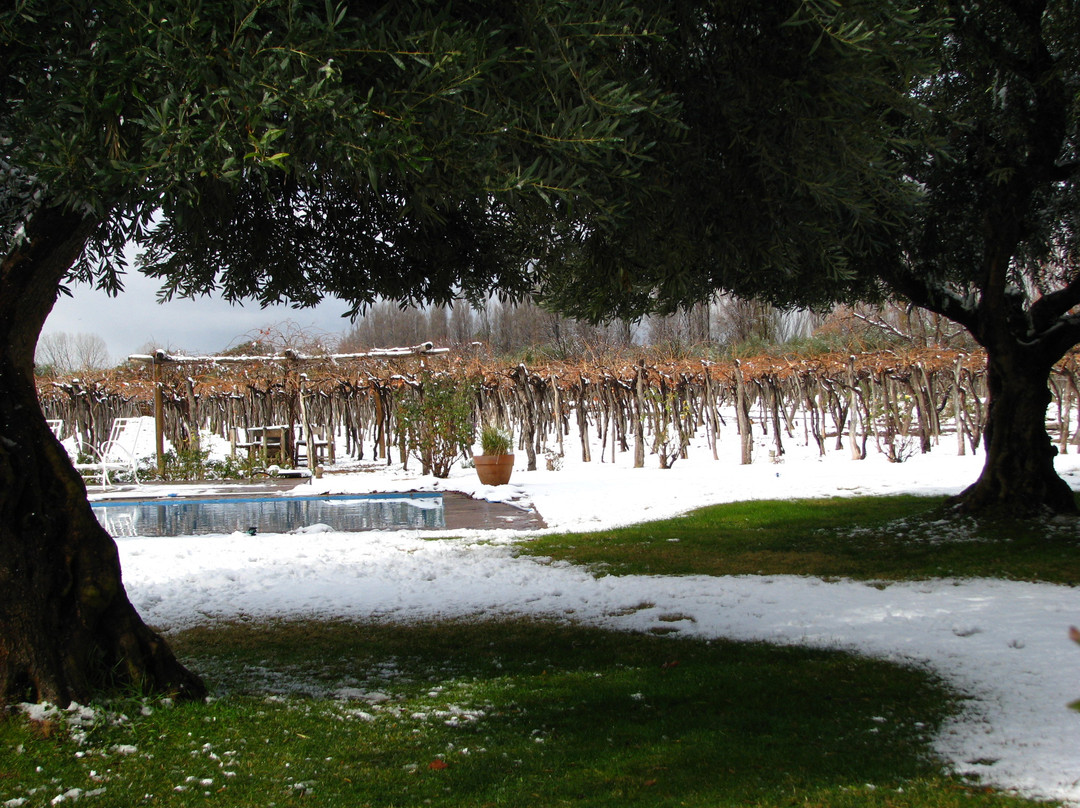 Conalbi Grinberg Casa Vinicola-Maipu必去景点