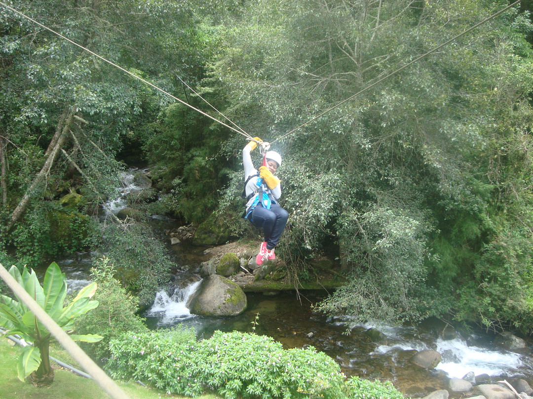 Canopy Tour at Hotel Trogon Lodge景点图片