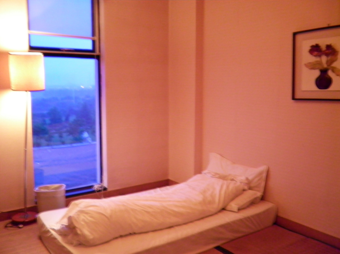 金麒玉麟温泉山庄主图