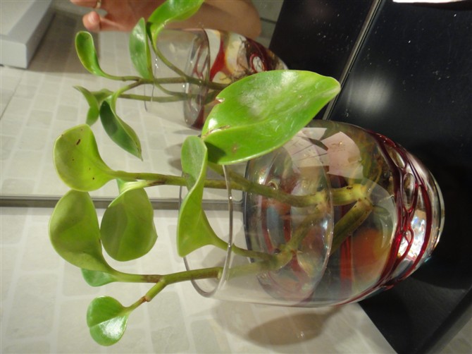 金华俏江南酒店八一南街店-客卧