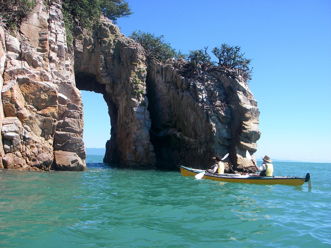 Golden Bay Kayaks-塔卡卡必去景点