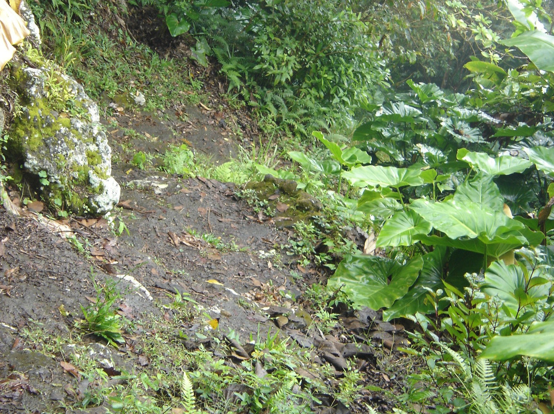 Mount Scenery-Windwardside必去景点