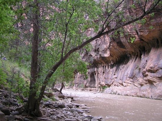 纽约湾海峡-锡安国家公园必去景点