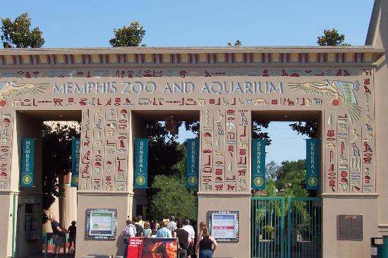 Memphis Zoo景点图片