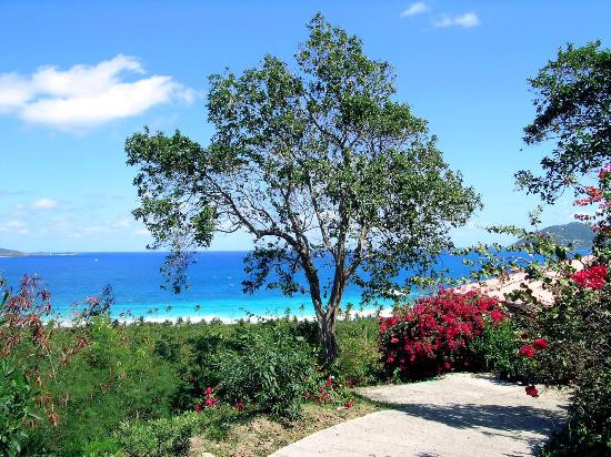 Smuggler's Cove-托土拉必去景点