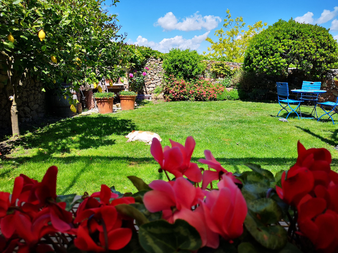 Codrongianos酒店住宿-B&B S'asilo Sardegna