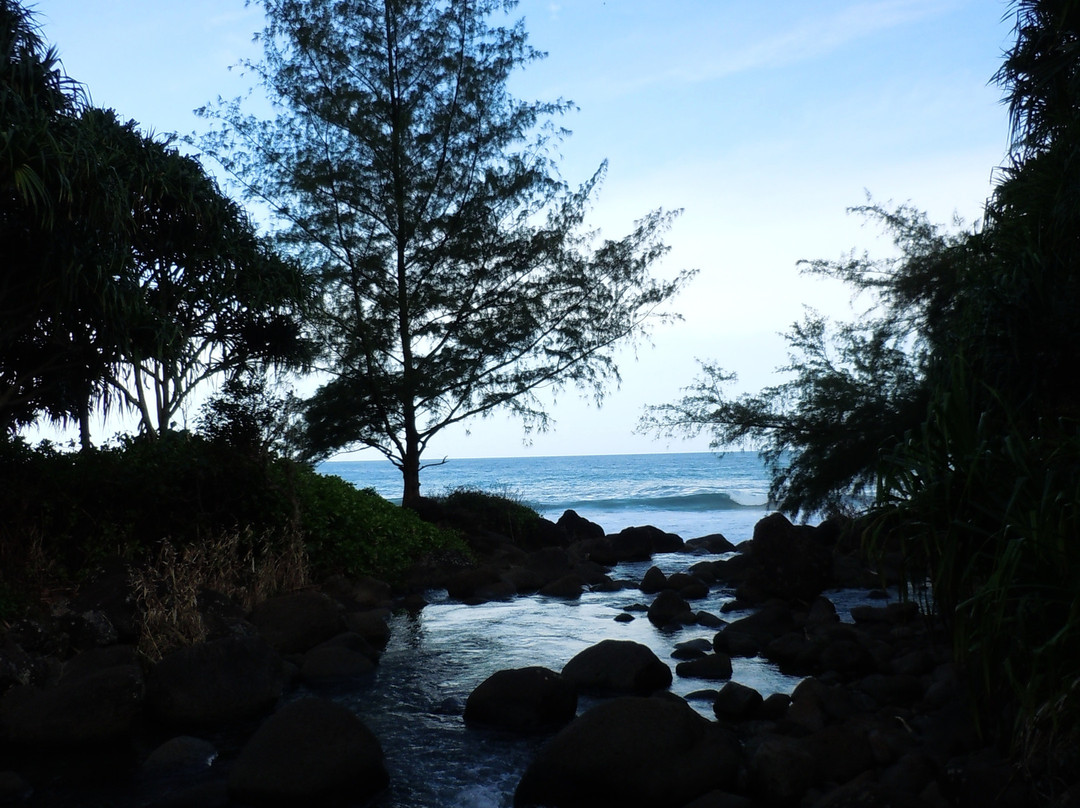 Hanakapiai Falls-可爱岛必去景点
