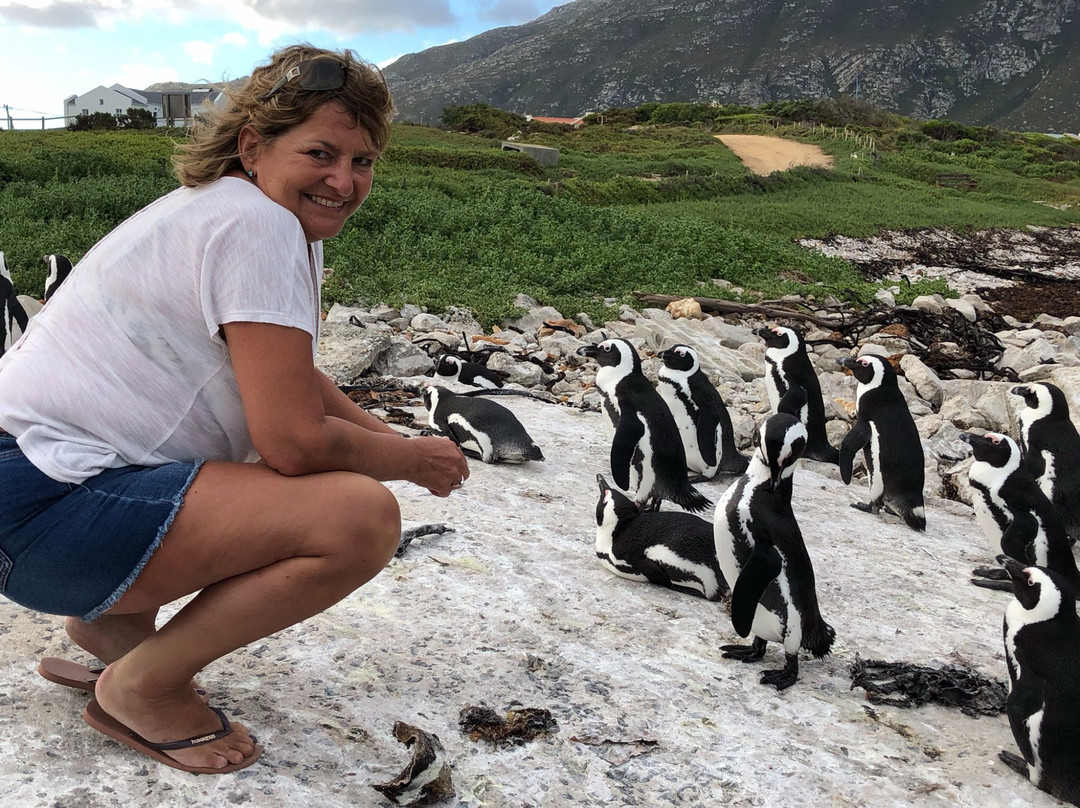 Villa Marine Guest House主图