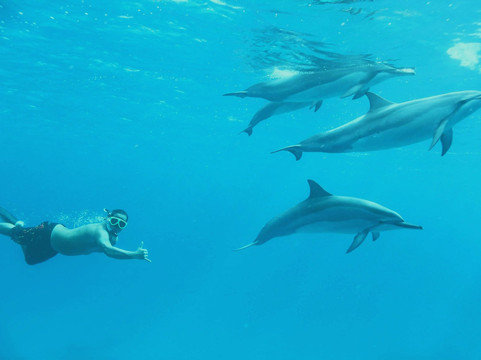 alanoula Mauritius-莫卡必去景点