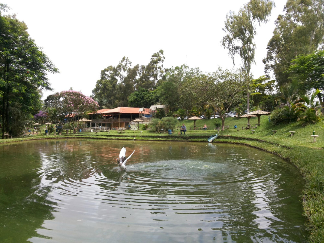 Tuneiras do Oeste餐馆和美食-Pesque Pague Pantanal