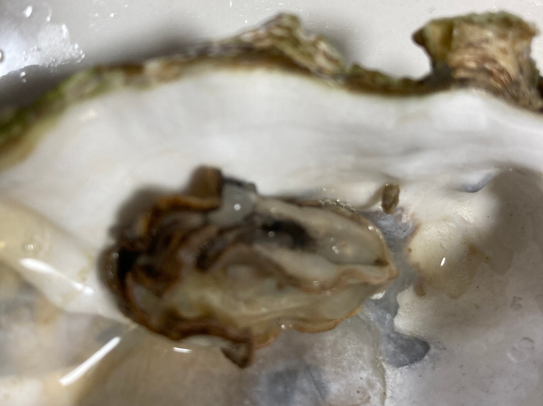 Bizen Umi no Eki-备前市必去景点