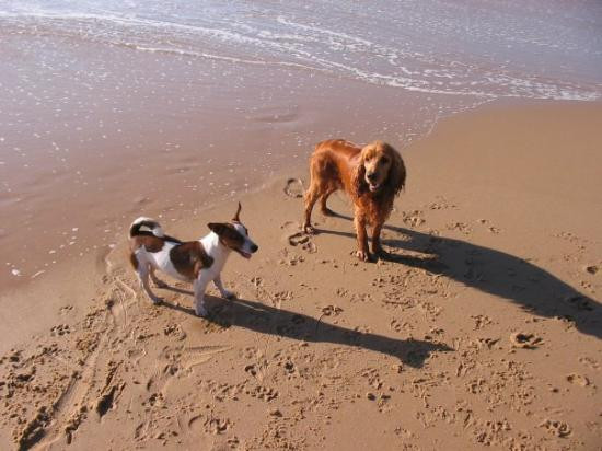 Ponta Malongane旅游攻略图片