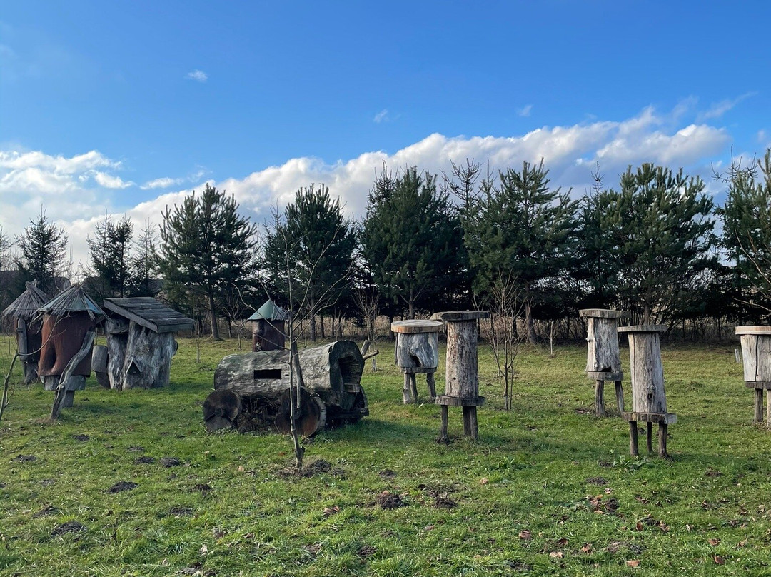 Petrova Pasika-Stebnyk必去景点