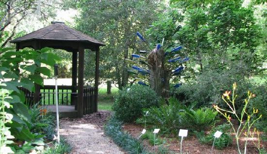 Kanapaha Botanical Gardens-盖恩斯维尔必去景点