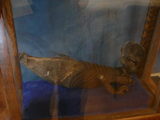 Zwaanendael Museum-刘易斯必去景点